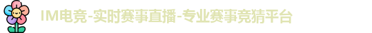 IM电竞